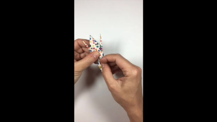 FROG ORIGAMI  - SD 480p